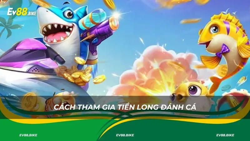 Cách tham gia tiền long đánh cá