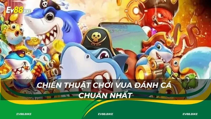 Chiến thuật chơi Vua Đánh Cá chuẩn nhất