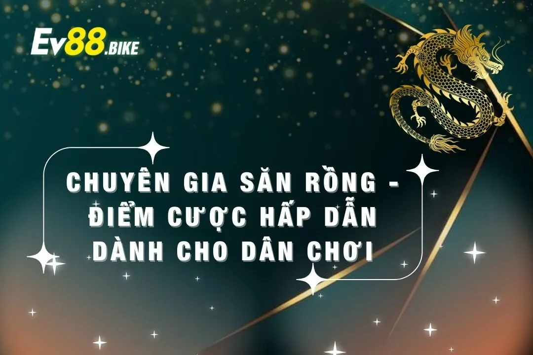 chuyên gia săn rồng