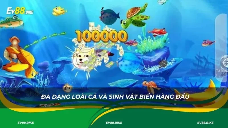 Đa dạng loài cá và sinh vật biển hàng đầu