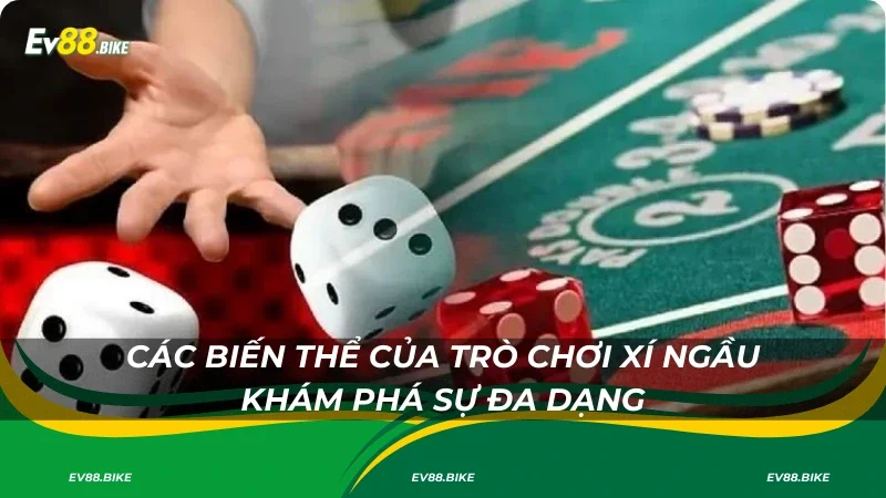 Các biến thể của trò chơi xí ngầu khám phá sự đa dạng