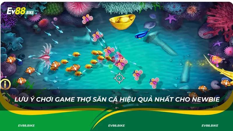 Lưu ý chơi game thợ săn cá hiệu quả nhất cho newbie