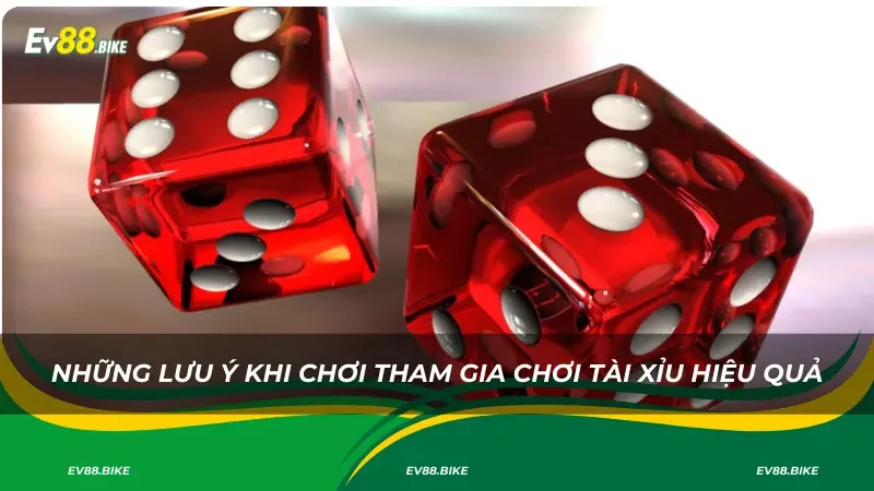 Những lưu ý khi chơi tham gia chơi tài xỉu hiệu quả