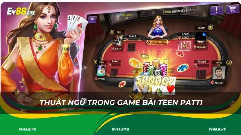 Thuật ngữ trong game bài Teenpatti