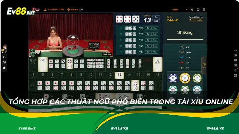 Tổng hợp các thuật ngữ phổ biến trong Tài Xỉu online